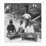 Making the huge cigars smoked by women, Burma by Stereo Travel Co