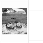 Buffalo 'wallow', Burma by Stereo Travel Co