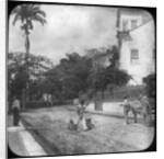 Street scene, Pernambuco, Brazil by Anonymous