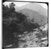 Near Petrópolis, Rio de Janeiro, Brazil by Anonymous