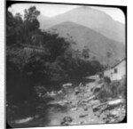 Near Petrópolis, Rio de Janeiro, Brazil by Anonymous