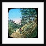 Scene on a road, Murree, India by Anonymous