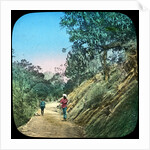 Scene on a road, Murree, India by Anonymous