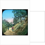 Scene on a road, Murree, India by Anonymous