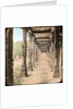 Colonnade, Delhi, India by Anonymous
