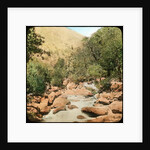 Sindh Valley, Kashmir, India by Anonymous