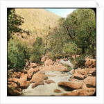 Sindh Valley, Kashmir, India by Anonymous