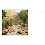 Sindh Valley, Kashmir, India by Anonymous