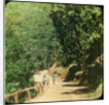 The Mall Road, Simla, India by Anonymous