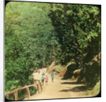 The Mall Road, Simla, India by Anonymous