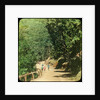 The Mall Road, Simla, India by Anonymous