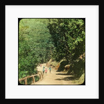 The Mall Road, Simla, India by Anonymous