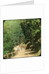 The Mall Road, Simla, India by Anonymous