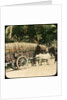 Native bullock cart, Ceylon by Anonymous