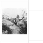 Langer Max, German rail mounted siege gun, Moere, near Ostend, Belgium, World War I by Nightingale & Co