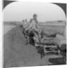 Conveying salt to the interior by wheelbarrow train by Keystone View Company