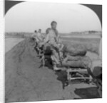 Conveying salt to the interior by wheelbarrow train by Keystone View Company