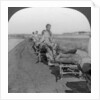 Conveying salt to the interior by wheelbarrow train by Keystone View Company