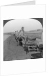 Conveying salt to the interior by wheelbarrow train by Keystone View Company