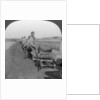 Conveying salt to the interior by wheelbarrow train by Keystone View Company