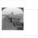 Conveying salt to the interior by wheelbarrow train by Keystone View Company