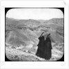 Valley of the Kings, Luxor, Egypt by Newton & Co