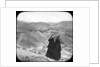 Valley of the Kings, Luxor, Egypt by Newton & Co