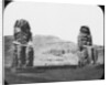 Colossi of Memnon, Luxor (Thebes), Egypt by Newton & Co