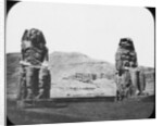 Colossi of Memnon, Luxor (Thebes), Egypt by Newton & Co