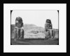 Colossi of Memnon, Luxor (Thebes), Egypt by Newton & Co