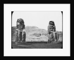 Colossi of Memnon, Luxor (Thebes), Egypt by Newton & Co