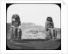 Colossi of Memnon, Luxor (Thebes), Egypt by Newton & Co