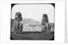 Colossi of Memnon, Luxor (Thebes), Egypt by Newton & Co