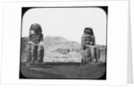 Colossi of Memnon, Luxor (Thebes), Egypt by Newton & Co