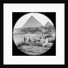 The Great Pyramids, Giza, Egypt by Newton & Co