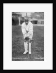 Thomas Russell, Essex cricketer by WA Rouch