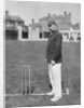 Mr HGP Owen, Essex cricketer by WA Rouch