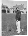 Mr HGP Owen, Essex cricketer by WA Rouch