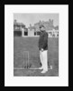 Mr HGP Owen, Essex cricketer by WA Rouch