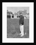 Mr HGP Owen, Essex cricketer by WA Rouch