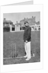 Mr HGP Owen, Essex cricketer by WA Rouch