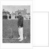 Mr HGP Owen, Essex cricketer by WA Rouch
