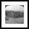 'Spoils of war, gun and stores captured from the Turks, Palestine', World War I by Realistic Travels Publishers