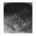 Listening post in a shell hole in No Man's Land, near Lagnicourt, France, World War I by Realistic Travels Publishers