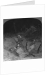 Listening post in a shell hole in No Man's Land, near Lagnicourt, France, World War I by Realistic Travels Publishers