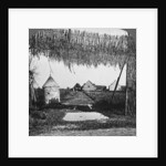 'Ingenious camouflage', World War I by Realistic Travels Publishers