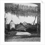 'Ingenious camouflage', World War I by Realistic Travels Publishers