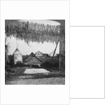 'Ingenious camouflage', World War I by Realistic Travels Publishers