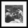 Cooking on the fire by Anonymous