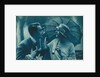 Postcard of romantic vintage couple, in blue by Anonymous